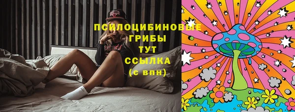 mdma Краснослободск